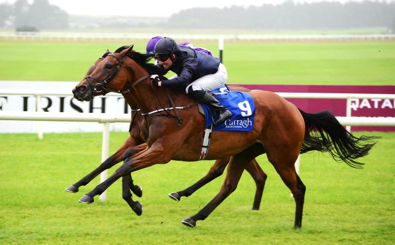 BRITAIN: O'Brien's Rhododendron and Hydrangea annihilate the opposition