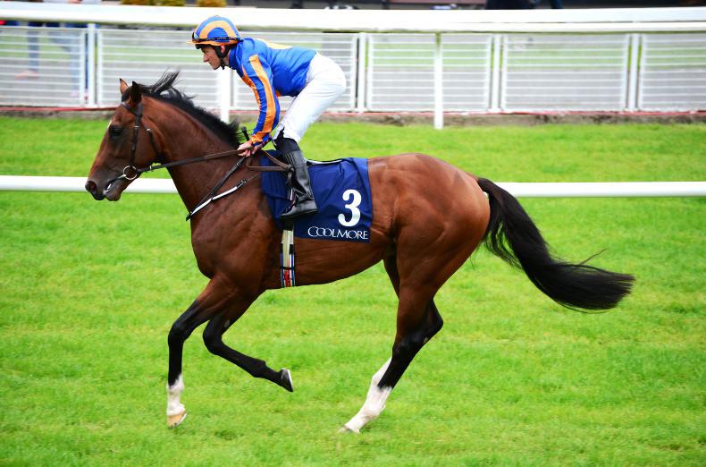 Churchill's finest hour as Aidan O'Brien delivers in Dewhurst at Newmarket