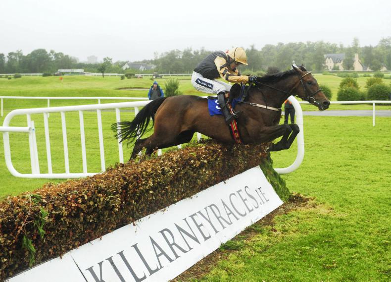 GORESBRIDGE PREVIEW: Attractive National Hunt stores on offer 