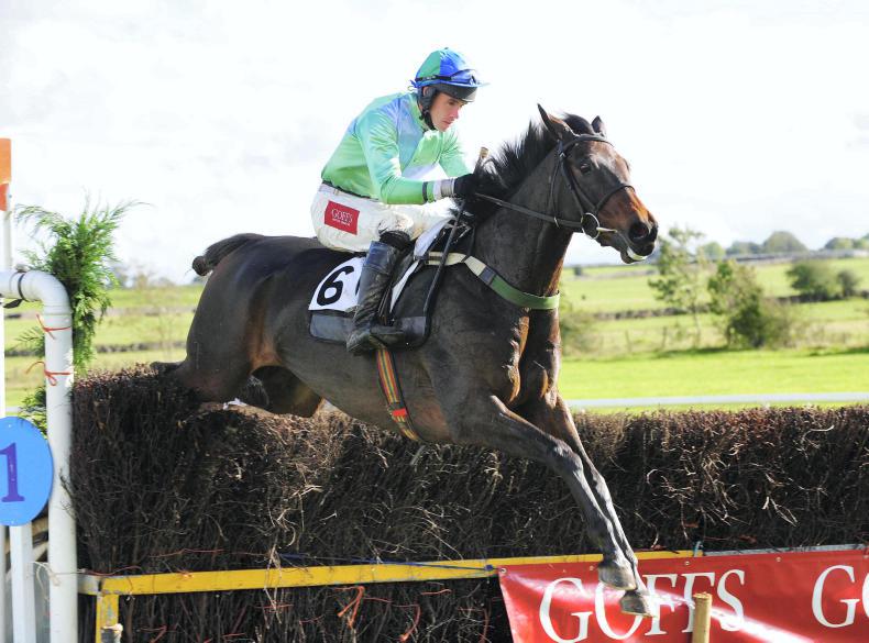 POINT-TO-POINTS: Spotlight on breeding