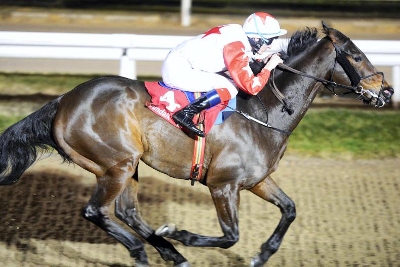 MARGIE McLOONE: Lennon is definitely a ladies’ man!