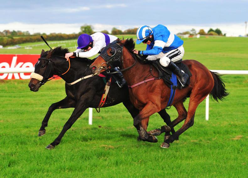 THURLES THURSDAY: Plotting Shed finds good form