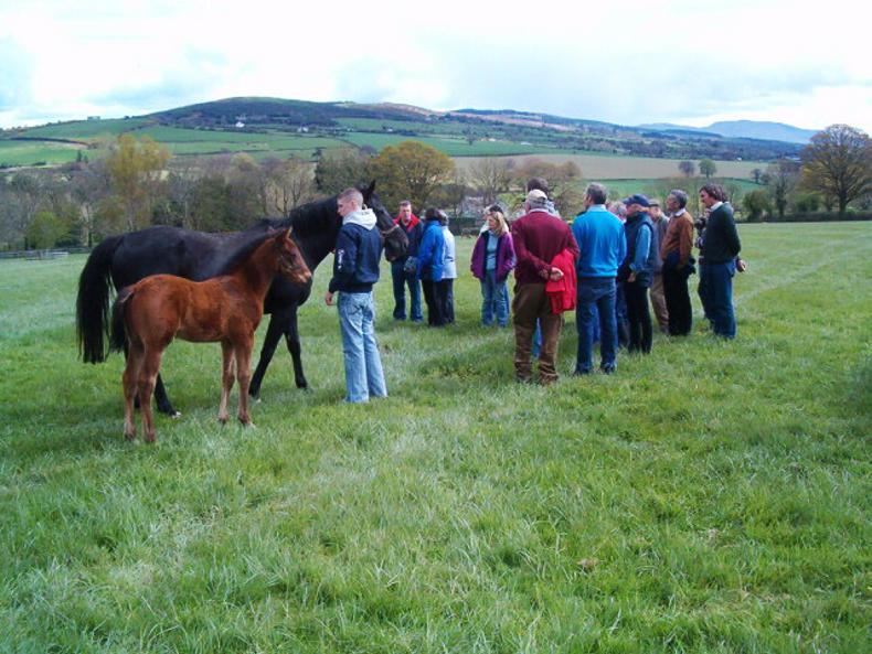 Red tape makes for slow progress for new discussion groups