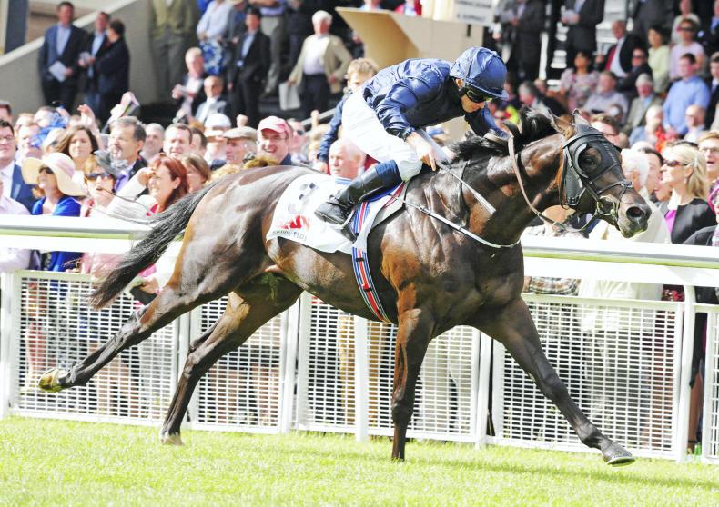 DONCASTER AUTUMN SALE: Wide choice on offer at Doncaster