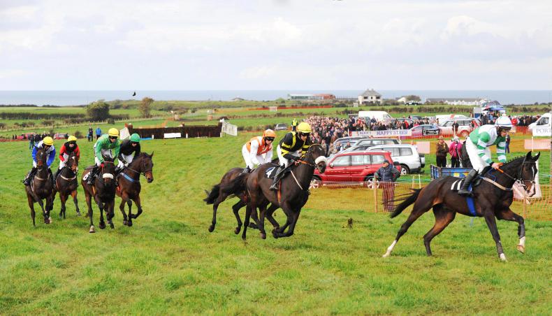 POINT-TO-POINT: News and views from the point field