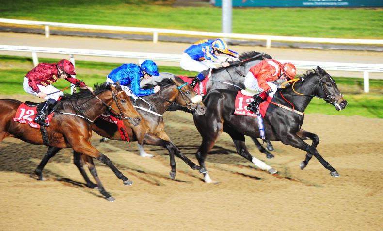 DUNDALK WEDNESDAY: Gorane defies odds for de Bromhead 