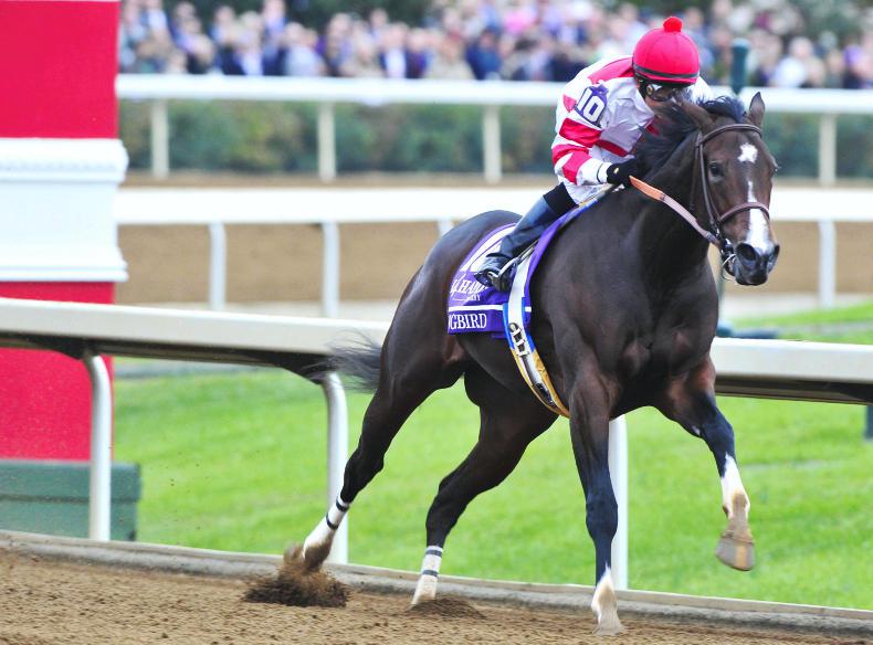 BREEDERS CUP PREVIEW: Songbird the star of the show