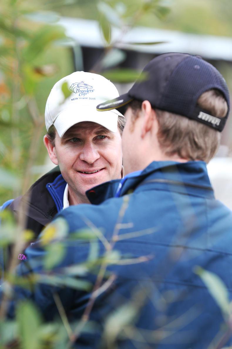 Hong Kong challengers in December