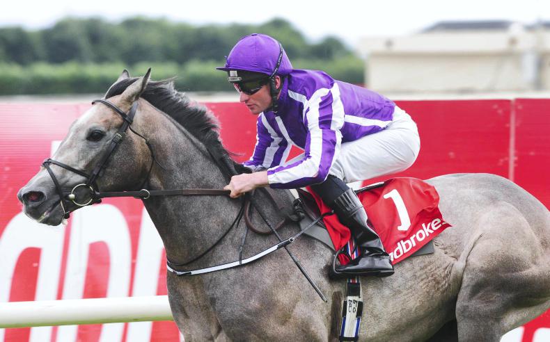 Ballydoyle quartet take part in Saint-Cloud showdown