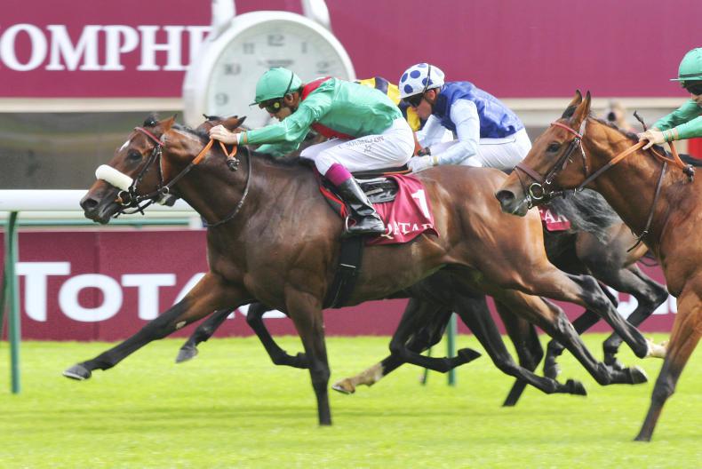 First foal to sell by Valirann