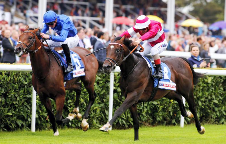 Piggott and partners celebrate