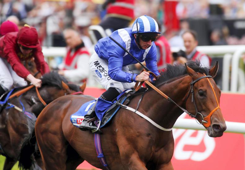 PEDIGREE NOTES: Notable recent stakes and freshman results