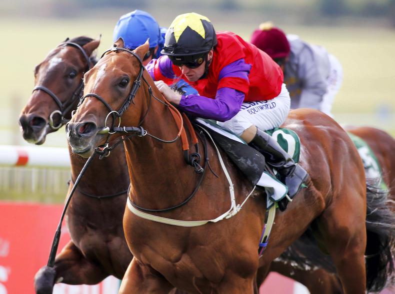 Darley publishes stallion fees for 2017