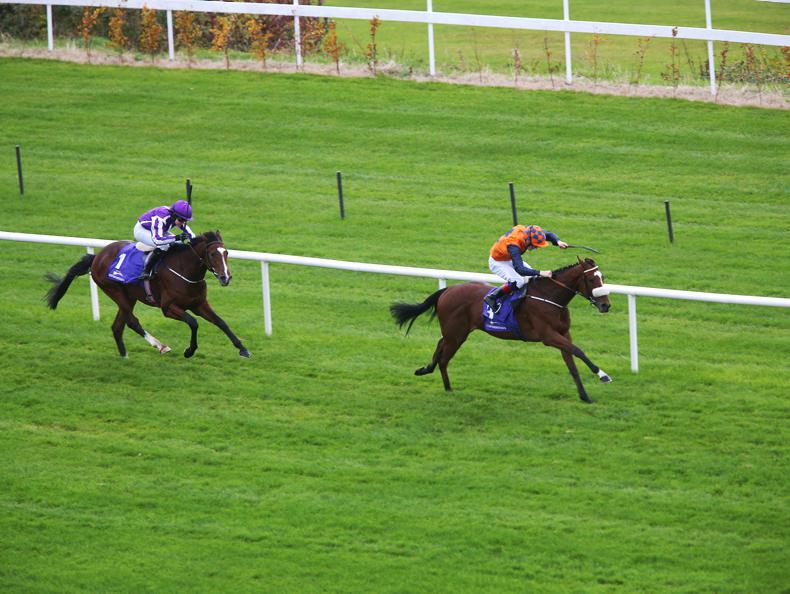 GOFFS UK AUTUMN SALE: Godolphin draft dominate strong sale