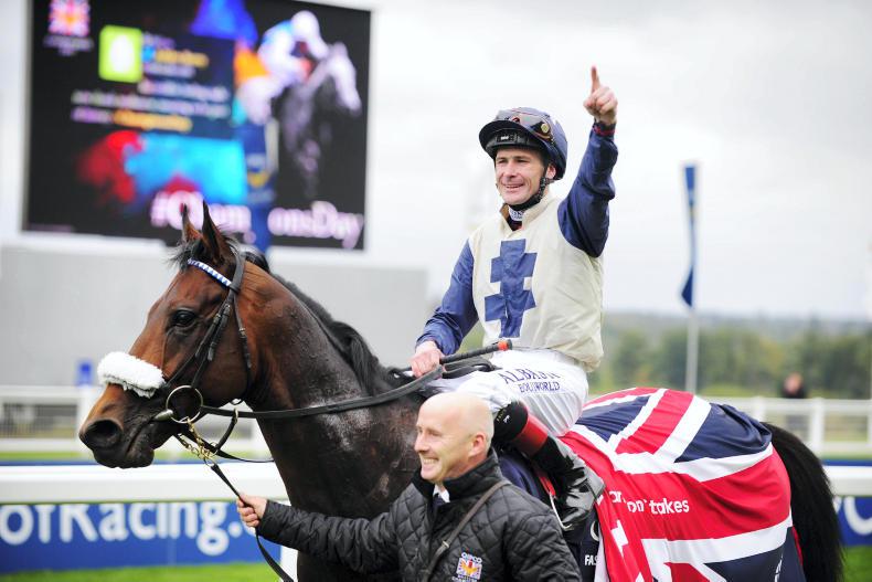 Fascinating Rock to stand at Ballylinch Stud