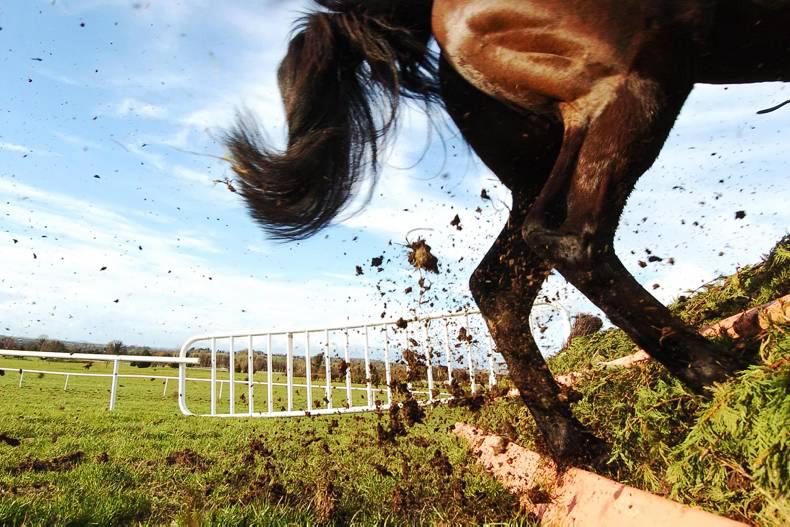 New opportunities for Irish jumpers in Britain