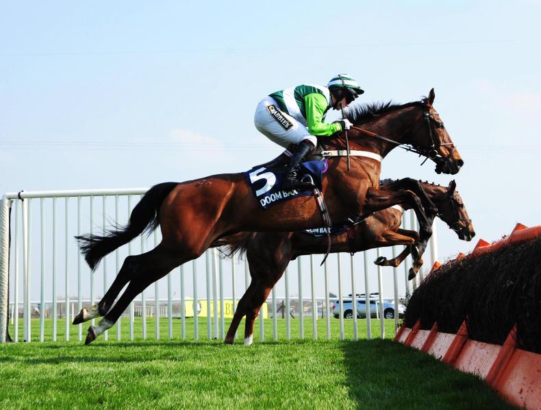 SALE PREVIEW: Top foal prospects at Kill