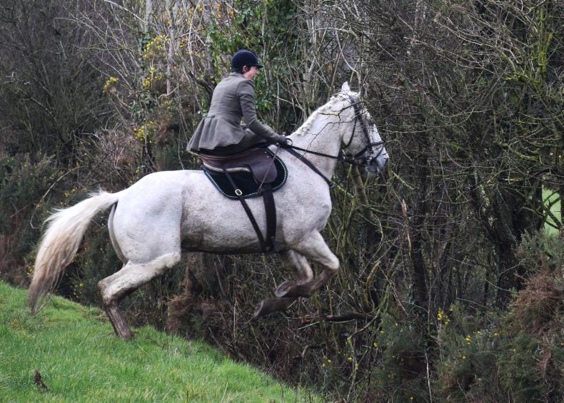 MARGIE MCLOONE: Lisronagh stages hot side-saddle race