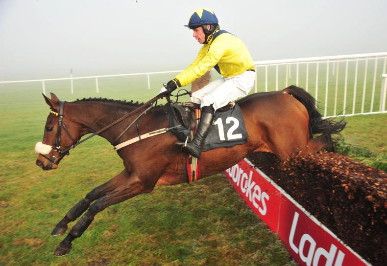 THURLES THURSDAY: Tully East passes jumping test