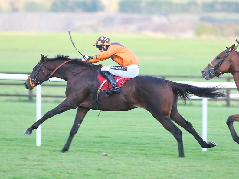 SALE PREVIEW: Smart young jumpers at Cheltenham
