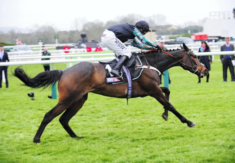 PEDIGREE NOTES: Sadler's Wells and Alleged sire lines dominated last weekend