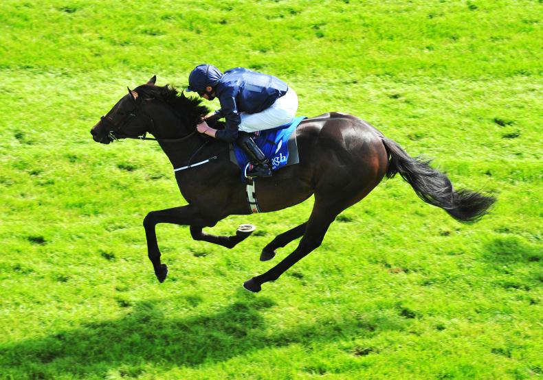 Powering ahead in both hemispheres 