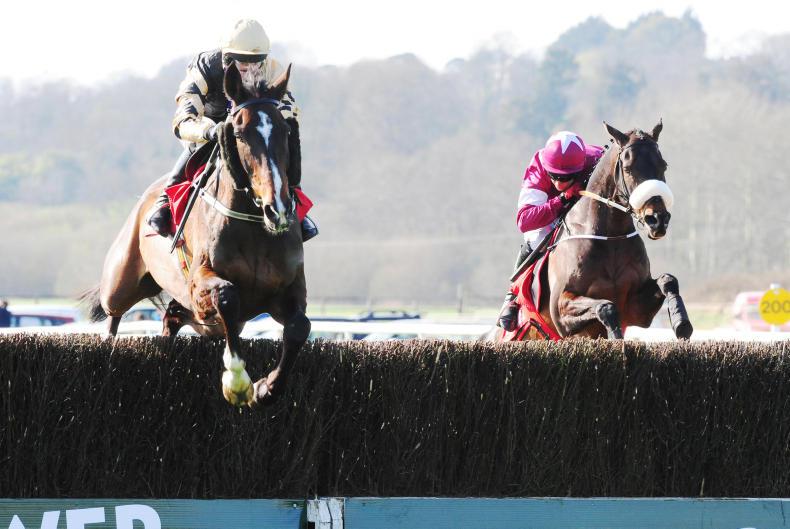 EOGHAIN WARD: Dromahane open excludes Roi Du Mee