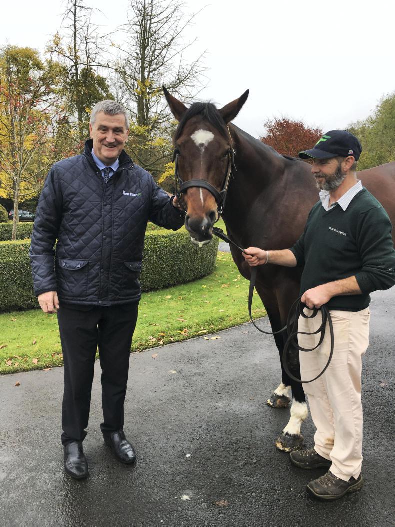 Soul Stirring is a Frankel first