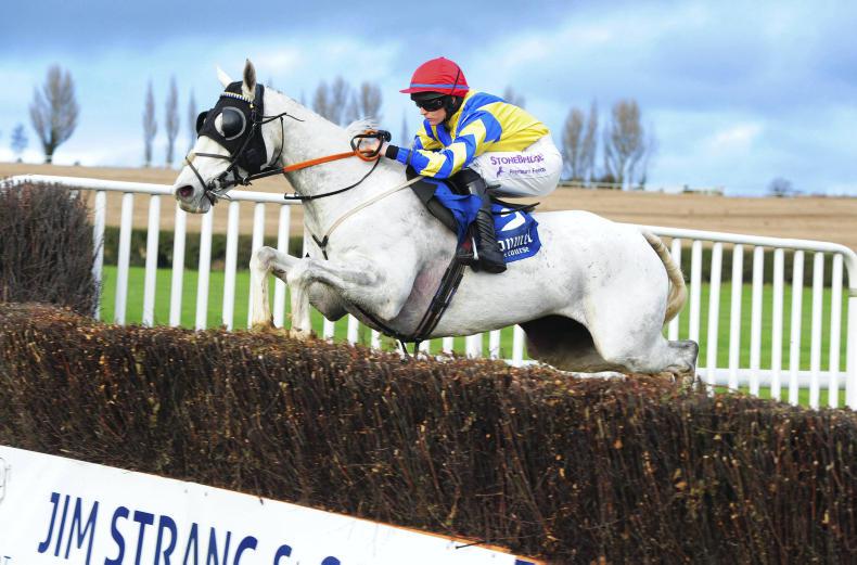 TALKING TRAINER: Festive fancies