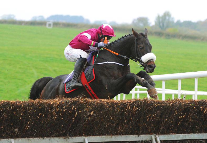 NEWS IN BRIEF: Racing and breeding stories from the December 24th issue