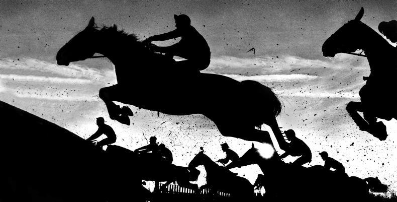 PARROT MOUTH: For sports fans everywhere