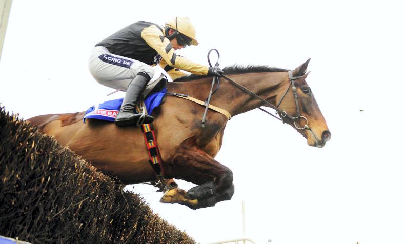 First Lieutenant just one of the stars in red-hot hunter chase at Thurles