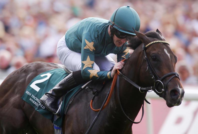 ITM Stallion Trail: The new boys on show