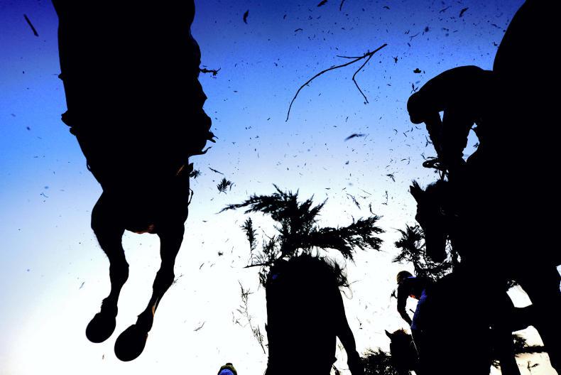 NEWS IN BRIEF: Racing and breeding stories from the January 21st issue