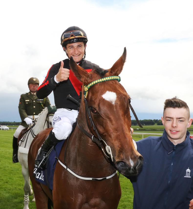 WBRR: Honours shared on Irish scene