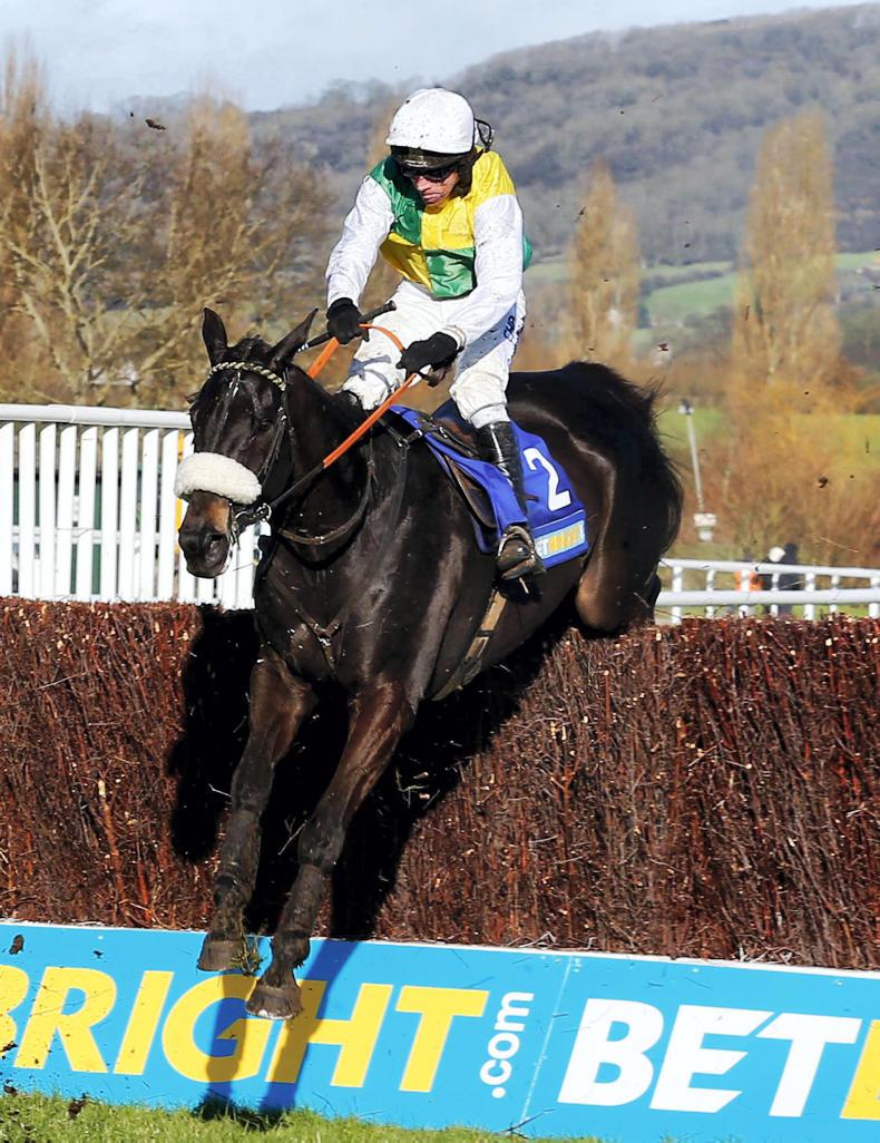 Tragic outcome to Cotswold Chase as winner Many Clouds collapses and dies