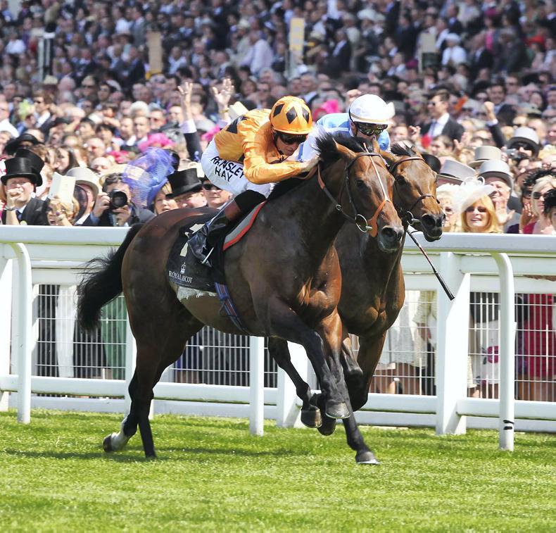 Canford Cliffs : Standing at Coolmore Stud