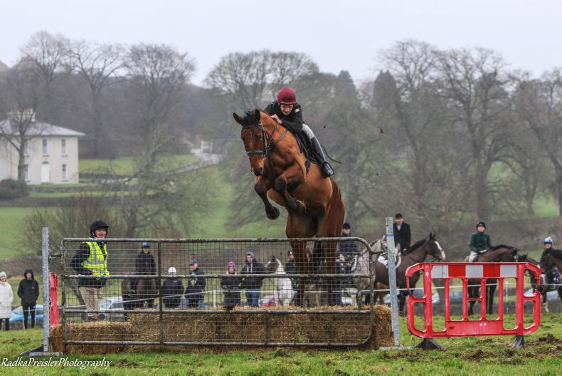 PONY TALES: Successful Tipperary fund-raiser