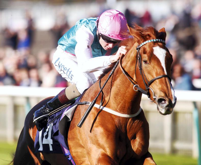 PEDIGREE NOTES: Some notable recent breeding results