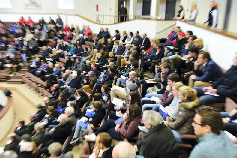 ITBA: What's planned for 2017?