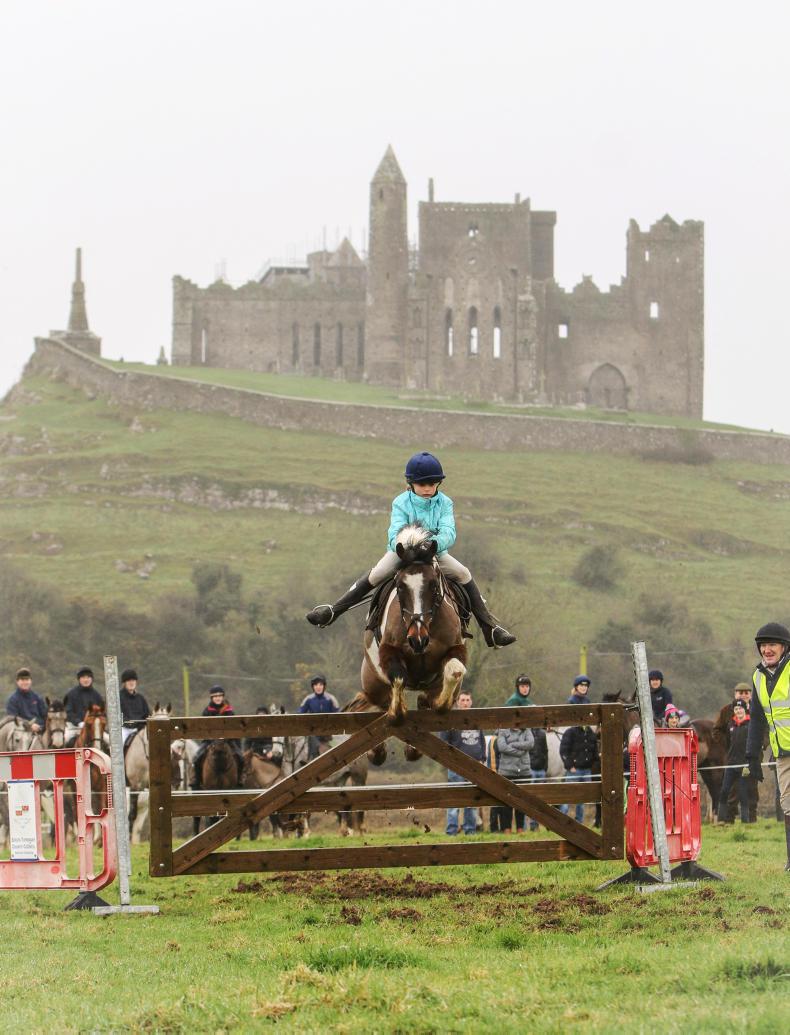 PICTURE DESK: Hunting galore  