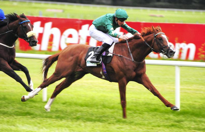 SIMON ROWLANDS: Knight has class on all-weather 