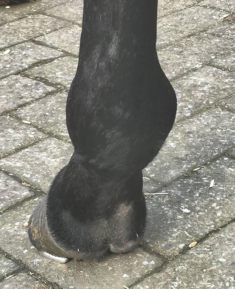 HANDS ON: Sales X-rays - the true picture?