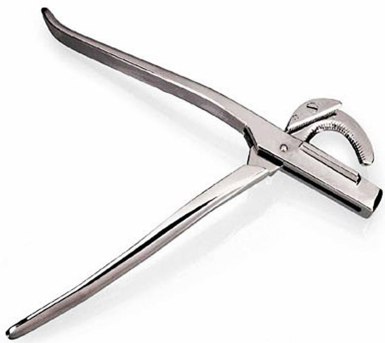 HANDS ON:  Gelding - why it's done and how