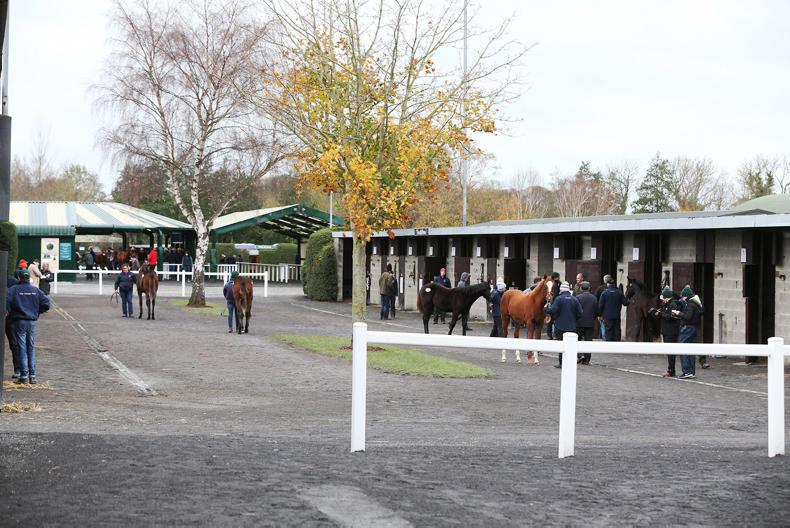 HORSE SENSE: Sales do's and don'ts