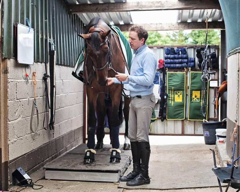 HORSE SENSE: Vibration therapy - how does it work?