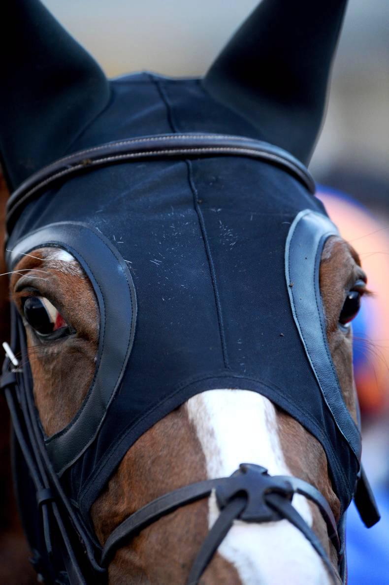 HORSE SENSE: Industry experts share their experience - managing excitable horses