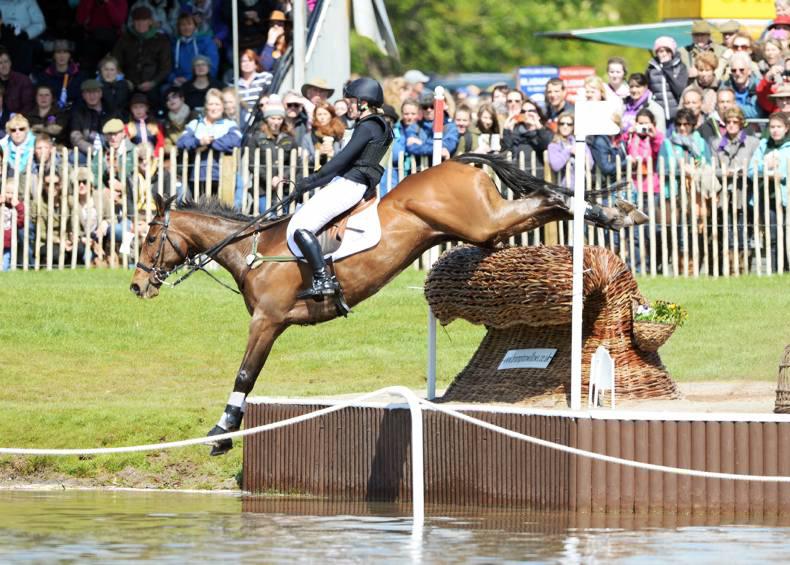 HORSE SENSE: Elizabeth Power talks about her experience eventing ex-racehorses