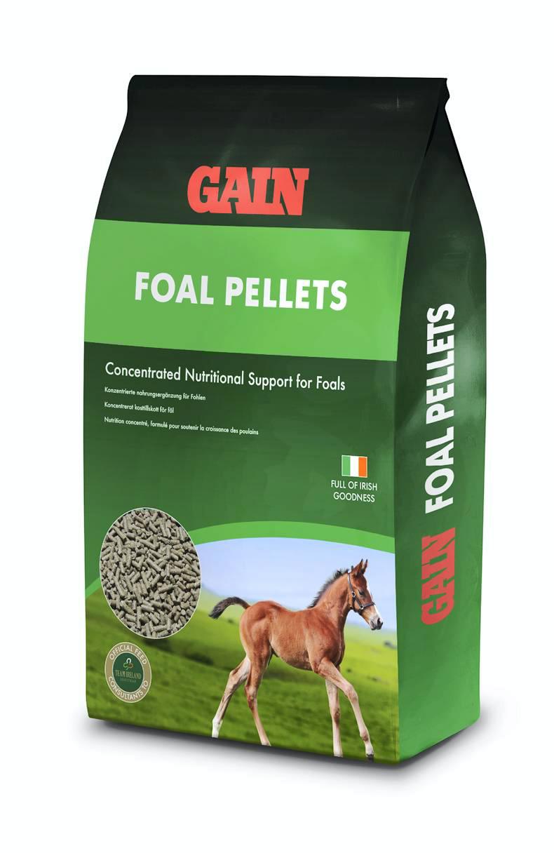 HORSE SENSE: Feeding options and feeding practices for owners of late foals