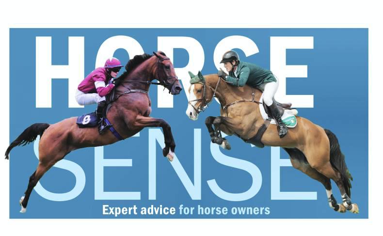 HORSE SENSE: Sales do's and don'ts